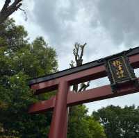 東京根津神社 - 歷史與人類的連結