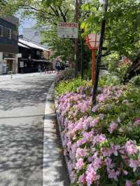 Biking Around Kyoto: A Different View of the City