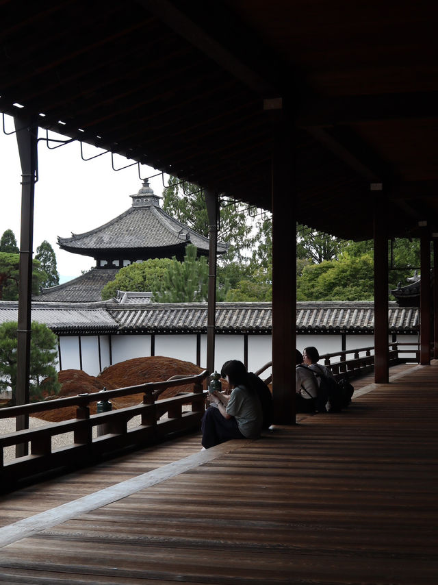 Serenity in Every Step: Exploring Tofuku-ji Temple