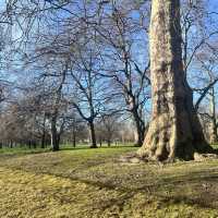 St James Park