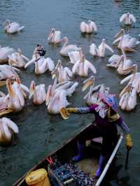 搭乘地鐵去南沙看海挖沙觀水鳥，寒假2天1夜廣州親子遊