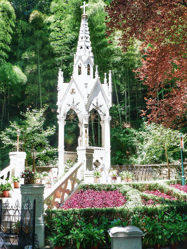 上海後花園，夏日避暑森林氧吧