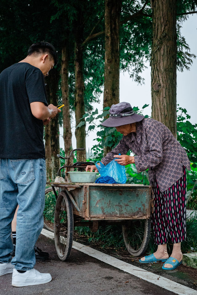 驚豔了上海居然這麼大片荷花池