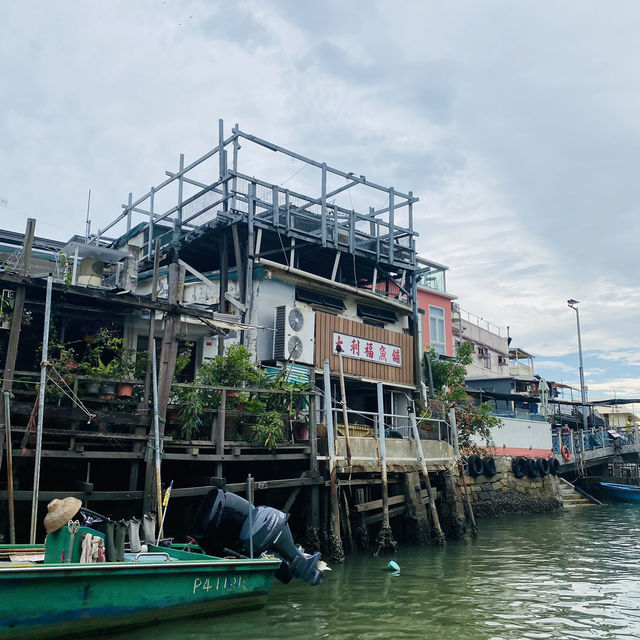 Tai O Boat Trip 🚤🇭🇰 Watch the Chinese Pink Dolphin! 🐬💓