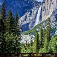 Yosemite National Park Natural scenarios With  fantastic Beauty of place 