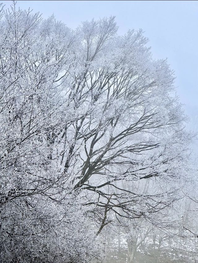 綿陽北川九皇山，邂逅自然與文化的奇幻之旅。