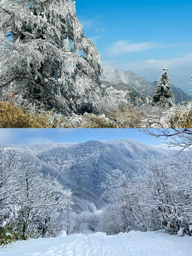 龍王山徒步賞雪：一場冰雪中的夢幻之旅。