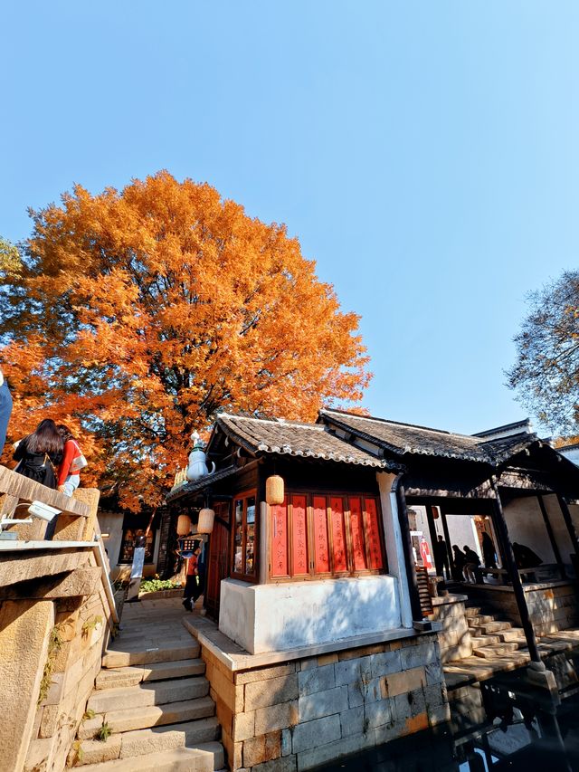 地鐵4號線直達，這裡的秋冬景色火出