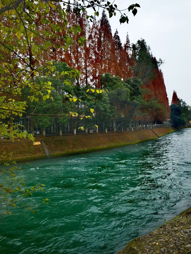 快來騎，安靖團結這段綠道，美得像油畫