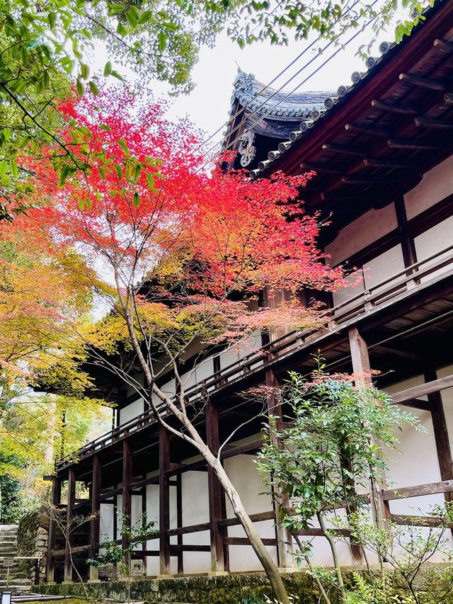 日本·京都