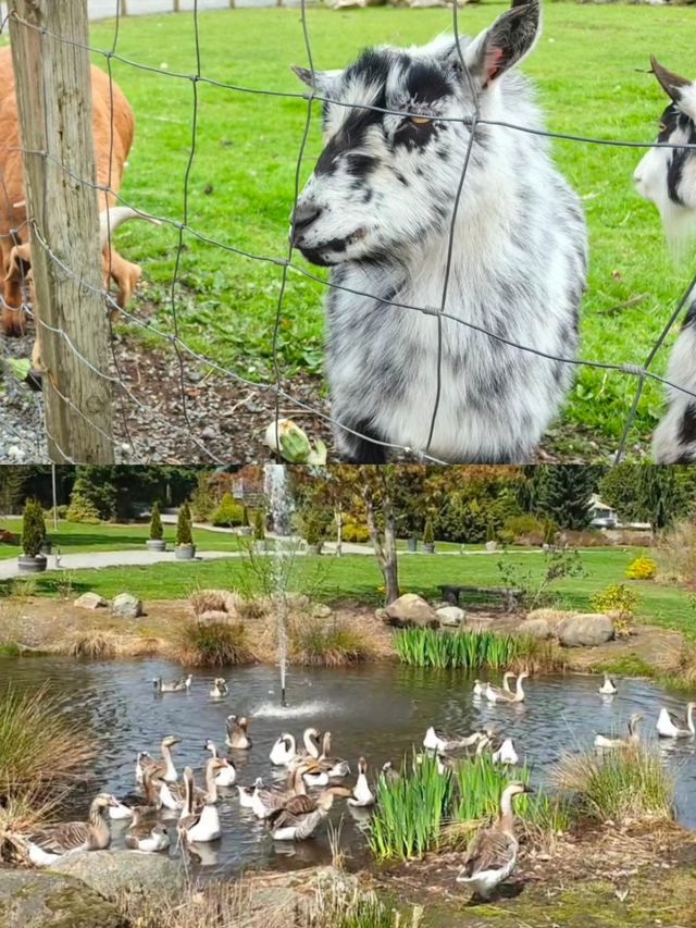 西雅圖動物園