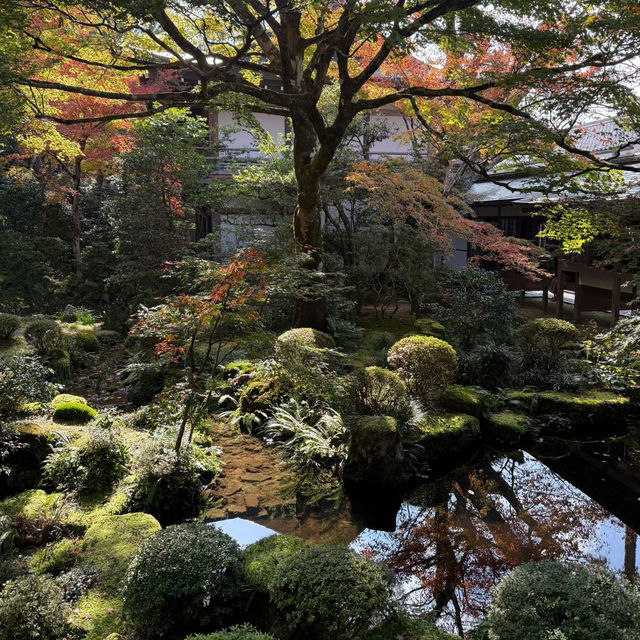 京都三千院：隱匿於山林間的寧靜聖地