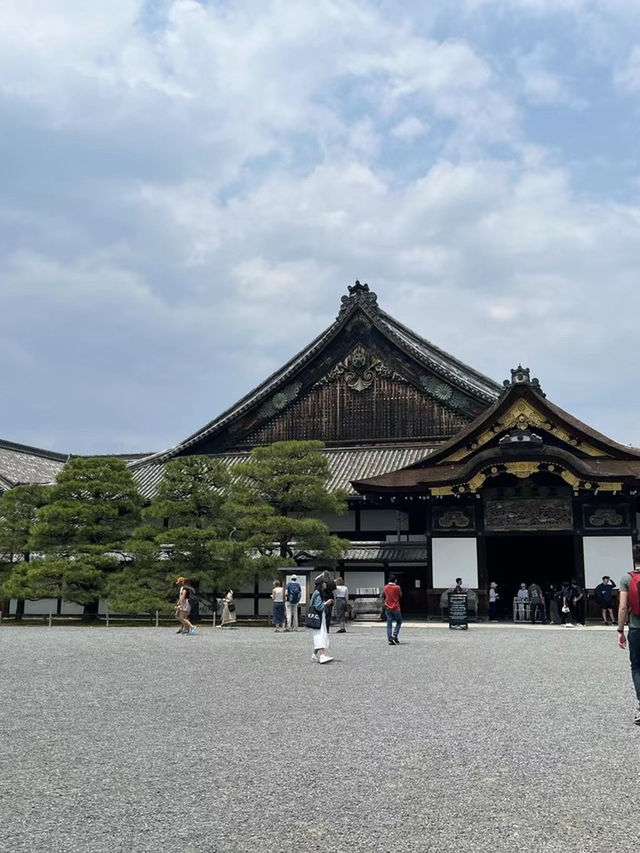 京都二條城一日攻略🏰 充滿了曆史的韻味了解日本江戶時代文化的絕佳地點