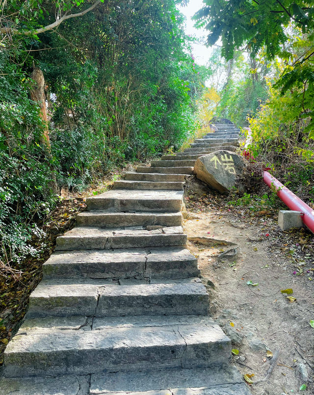 在廈門不止是海，還有這山