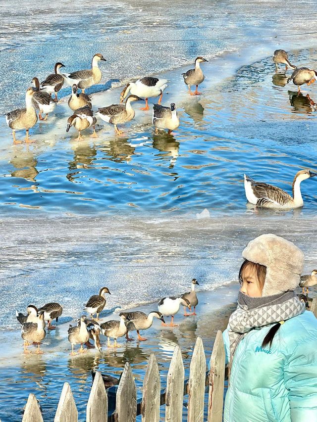 瀋陽旅遊景點指南