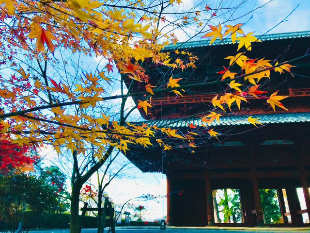 A tranquil haven for seekers of serenity and beauty 🇯🇵