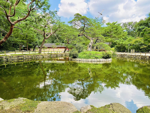 It’s truly a place worth exploring 🇰🇷👫😎