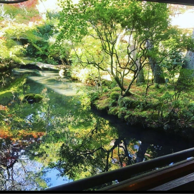 【伊豆 修善寺温泉 湯回廊 菊屋】ピカピカの廊下に映り込む絶景