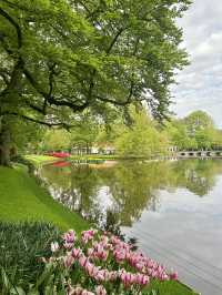 Step into a fairytale of blooms at Keukenhof next year spring.