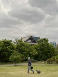 Tokyo Tower and Shiba Area: A Perfect Blend of Tradition and Modernity