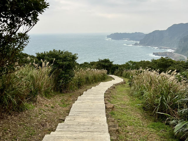 新北 360度環山景海景清幽步道⛰️