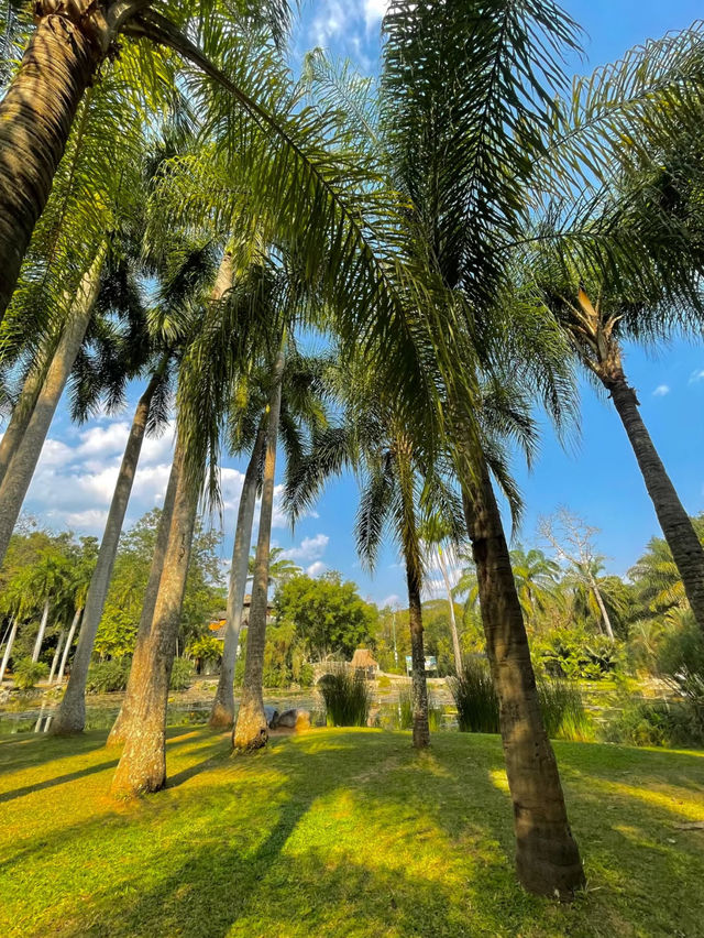 Xishuangbanna Tropical Botanical Garden: A Paradise of Biodiversity 