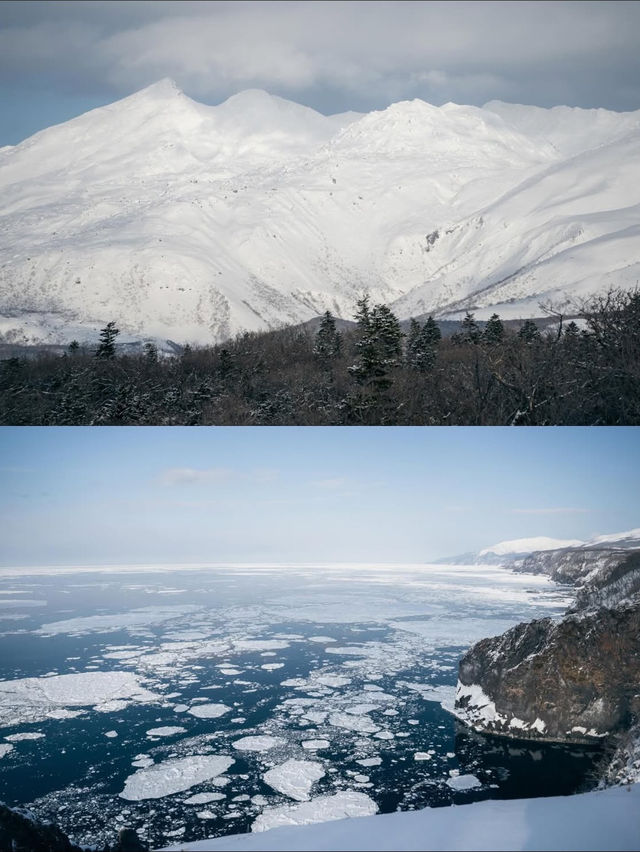 【北海道知床】冬の絶景旅