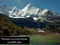 Best Autumn Viewing Experience 1/3 [Luorong Pasture, Yading Nature Reserve]