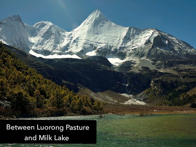 Best Autumn Viewing Experience 1/3 [Luorong Pasture, Yading Nature Reserve]