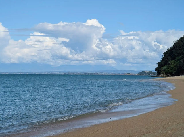 A Tranquil Adventure in Abel Tasman National Park