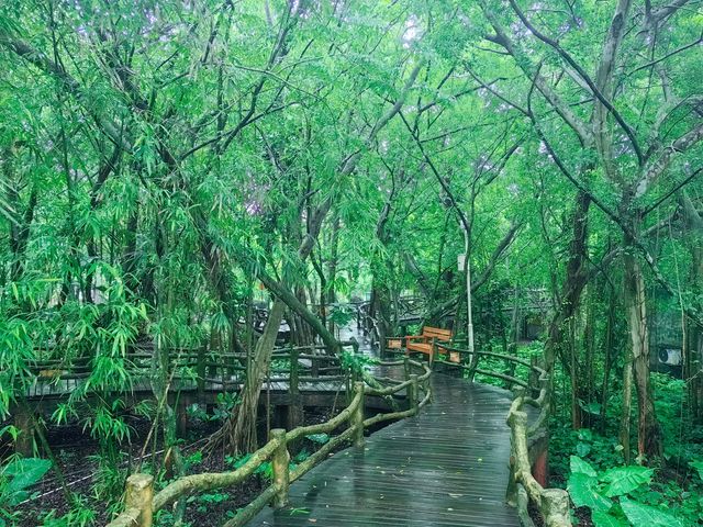 人間仙境，就在雷瓊火山世界地質公園