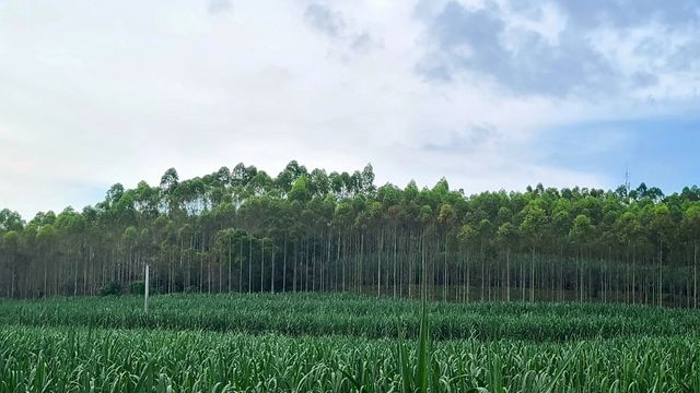 廣西219邊境線不如這樣穿越