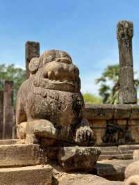 | Polonnaruwa |再次進入一處世界遗產,可看到孫悟空的場景。