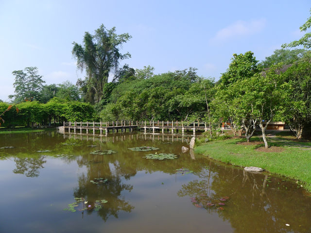 景洪·熱帶植物園西區——園藝的巔峰之作。