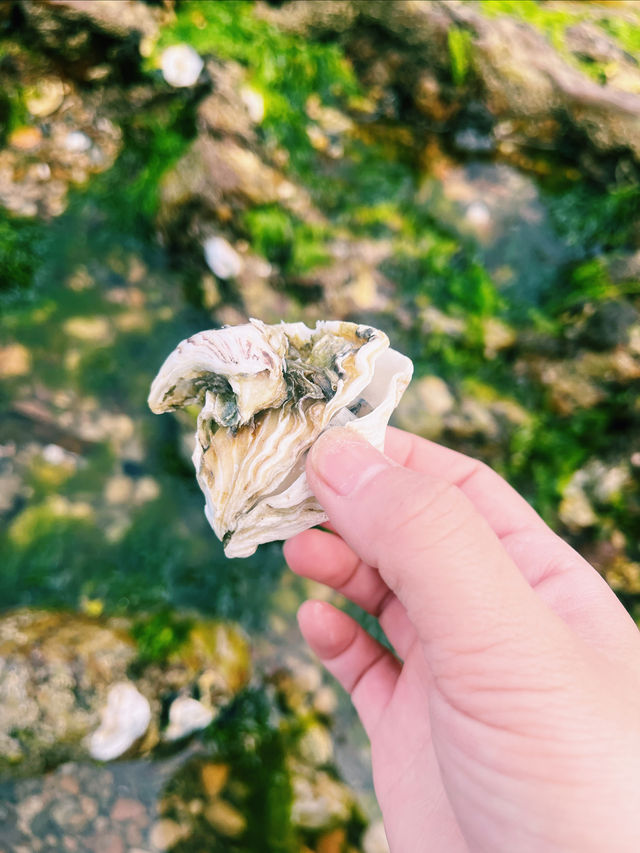 夢幻關島｜情人崖上的海誓山盟。