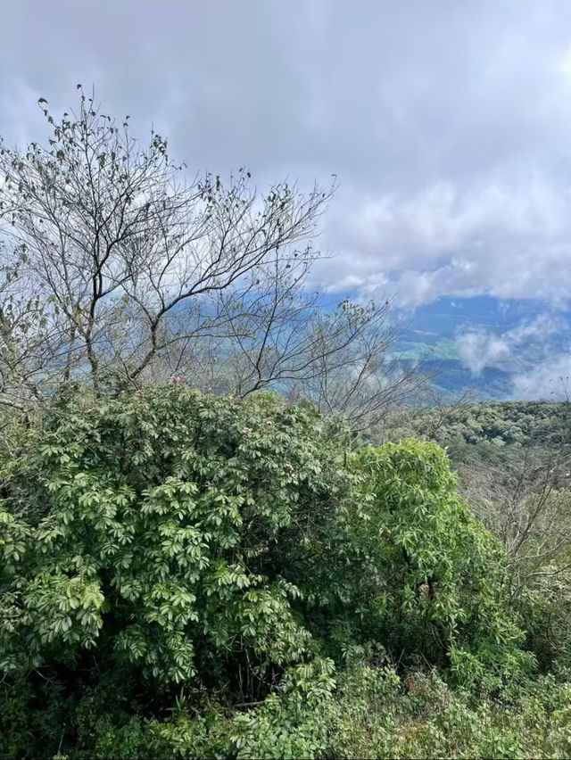 Thailand famous Doi Inthanon National Park 🇹🇭 