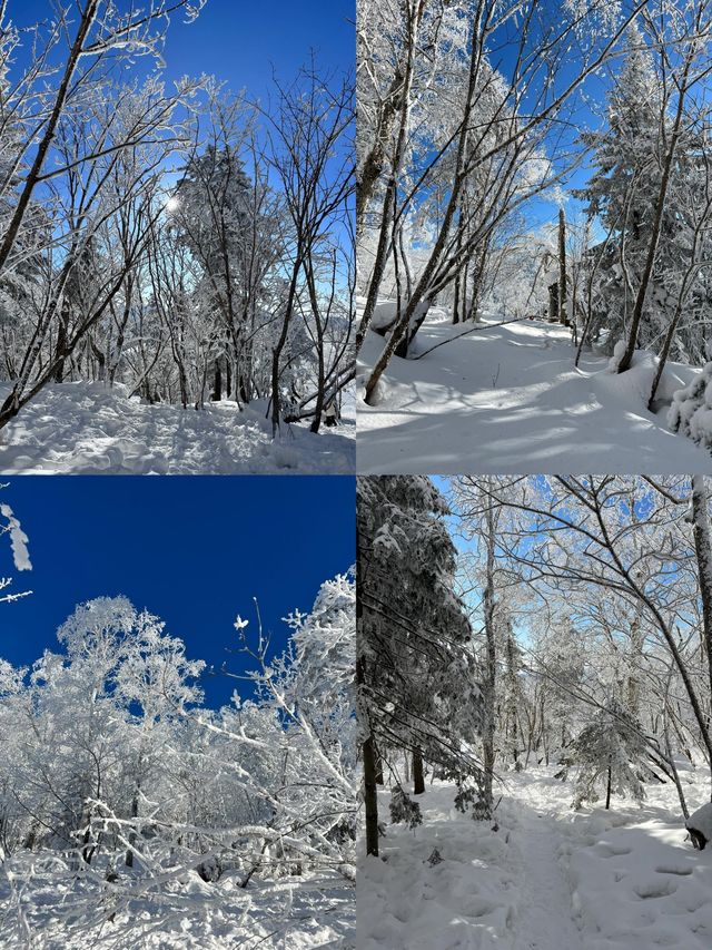 雪谷太令人驚喜了。