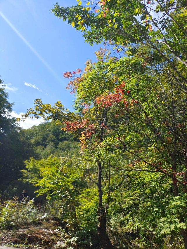 本溪大石湖：靈動清幽的山水畫卷