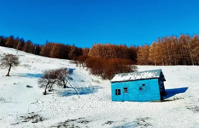 阿爾山藍色夢幻童話小屋