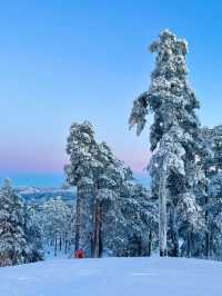 Skiing Near Oslo, Norway