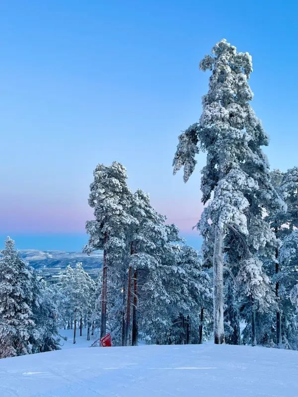 Skiing Near Oslo, Norway