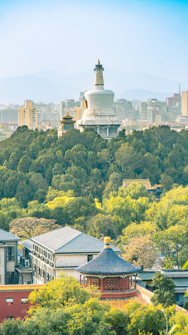 北京景山公園拍照打卡攻略~故宮全景