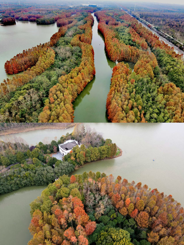 上海海灣國家森林公園