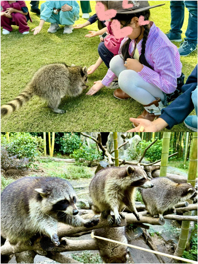 唔使去肯尼亞喇 屋企門口就可以同長頸鹿一齊食早餐