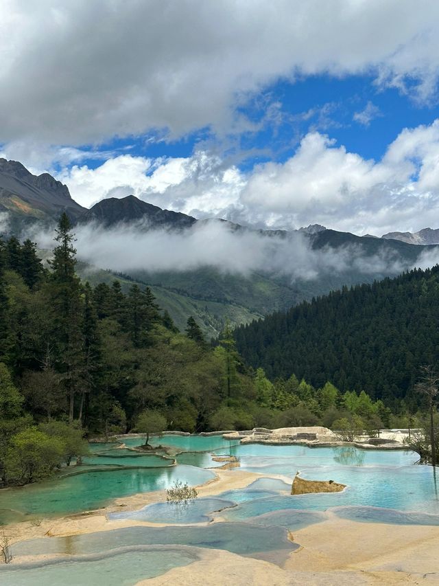 成都-九寨溝探秘之旅熊貓基地不可錯過的打卡點