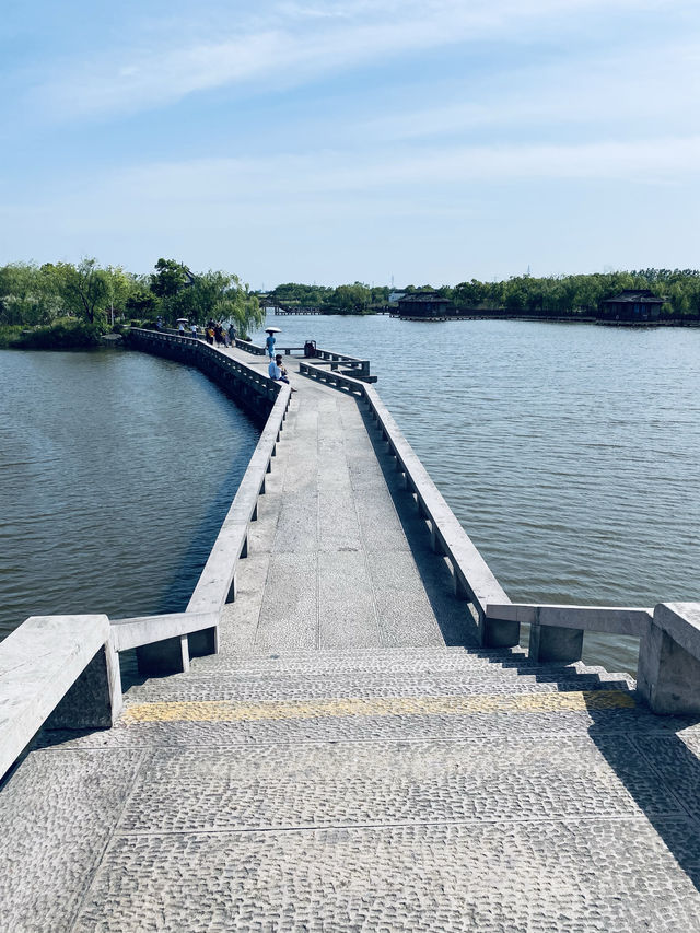 浙江·杭州灣海上花田景區