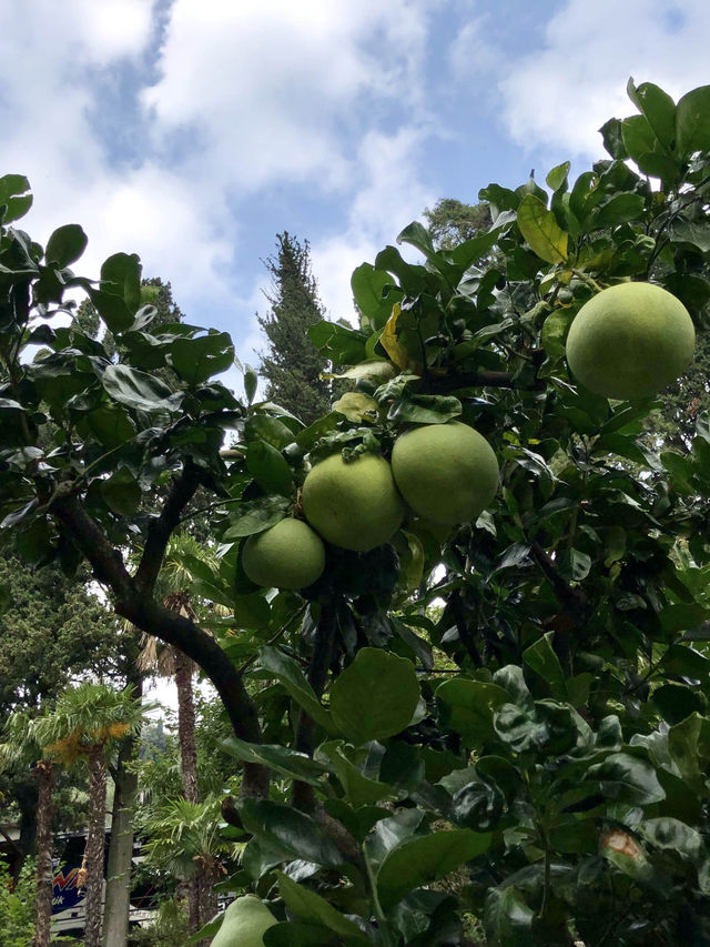 【6月好去處】科莫湖浪漫打卡小鎮 Bellagio，適合夏天