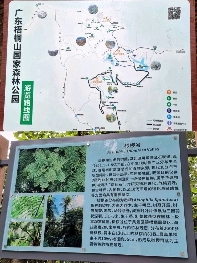 🇨🇳 Wutong Mountain Hike via Xiutong Road