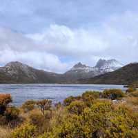 Tasmania Cradle mountain 