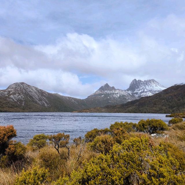 Tasmania Cradle mountain 